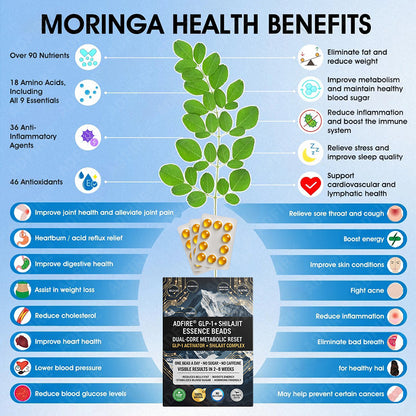 𝐀𝐝𝐟𝐢𝐫𝐞® 𝐆𝐋𝐏-𝟏 + 𝐒𝐡𝐢𝐥𝐚𝐣𝐢𝐭 𝐃𝐮𝐚𝐥-𝐂𝐨𝐫𝐞 𝐌𝐞𝐭𝐚𝐛𝐨𝐥𝐢𝐜 & 𝐑𝐞𝐬𝐭𝐨𝐫𝐚𝐭𝐢𝐨𝐧 𝐔𝐥𝐭𝐫𝐚-𝐂𝐨𝐧𝐜𝐞𝐧𝐭𝐫𝐚𝐭𝐞𝐝 𝐄𝐬𝐬𝐞𝐧𝐜𝐞 𝐁𝐞𝐚𝐝𝐬 — 𝐒𝐜𝐢𝐞𝐧𝐭𝐢𝐟𝐢𝐜 𝐅𝐚𝐭 𝐁𝐮𝐫𝐧 × 𝐇𝐞𝐫𝐛𝐚𝐥 𝐑𝐞𝐣𝐮𝐯𝐞𝐧𝐚𝐭𝐢𝐨𝐧, 𝐅𝐮𝐥𝐥𝐲 𝐀𝐜𝐭𝐢𝐯𝐚𝐭𝐢𝐧𝐠 𝐭𝐡𝐞 𝐁𝐨𝐝𝐲’𝐬 𝐌𝐞𝐭𝐚𝐛𝐨𝐥𝐢𝐜 𝐒𝐲𝐬𝐭𝐞𝐦 (✅ 𝐁𝐥𝐨𝐨𝐝 𝐒𝐮𝐠𝐚𝐫 𝐂𝐨𝐧𝐭𝐫𝐨𝐥, 𝐅𝐚𝐭 𝐋𝐨𝐬𝐬, 𝐇𝐞𝐚𝐫𝐭 𝐇𝐞𝐚𝐥𝐭𝐡, 𝐀𝐧𝐭𝐢-𝐀𝐠𝐢𝐧𝐠)