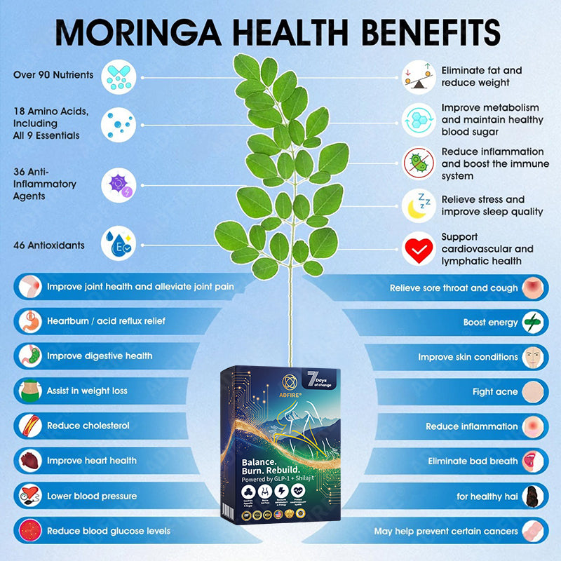 𝐀𝐝𝐟𝐢𝐫𝐞® 𝐆𝐋𝐏-𝟏 + 𝐒𝐡𝐢𝐥𝐚𝐣𝐢𝐭 𝐃𝐮𝐚𝐥-𝐂𝐨𝐫𝐞 𝐌𝐞𝐭𝐚𝐛𝐨𝐥𝐢𝐜 & 𝐑𝐞𝐬𝐭𝐨𝐫𝐚𝐭𝐢𝐨𝐧 𝐔𝐥𝐭𝐫𝐚-𝐂𝐨𝐧𝐜𝐞𝐧𝐭𝐫𝐚𝐭𝐞𝐝 𝐄𝐬𝐬𝐞𝐧𝐜𝐞 𝐁𝐞𝐚𝐝𝐬 — 𝐒𝐜𝐢𝐞𝐧𝐭𝐢𝐟𝐢𝐜 𝐅𝐚𝐭 𝐁𝐮𝐫𝐧 × 𝐇𝐞𝐫𝐛𝐚𝐥 𝐑𝐞𝐣𝐮𝐯𝐞𝐧𝐚𝐭𝐢𝐨𝐧, 𝐅𝐮𝐥𝐥𝐲 𝐀𝐜𝐭𝐢𝐯𝐚𝐭𝐢𝐧𝐠 𝐭𝐡𝐞 𝐁𝐨𝐝𝐲’𝐬 𝐌𝐞𝐭𝐚𝐛𝐨𝐥𝐢𝐜 𝐒𝐲𝐬𝐭𝐞𝐦 (✅ 𝐁𝐥𝐨𝐨𝐝 𝐒𝐮𝐠𝐚𝐫 𝐂𝐨𝐧𝐭𝐫𝐨𝐥, 𝐅𝐚𝐭 𝐋𝐨𝐬𝐬, 𝐇𝐞𝐚𝐫𝐭 𝐇𝐞𝐚𝐥𝐭𝐡, 𝐀𝐧𝐭𝐢-𝐀𝐠𝐢𝐧𝐠)