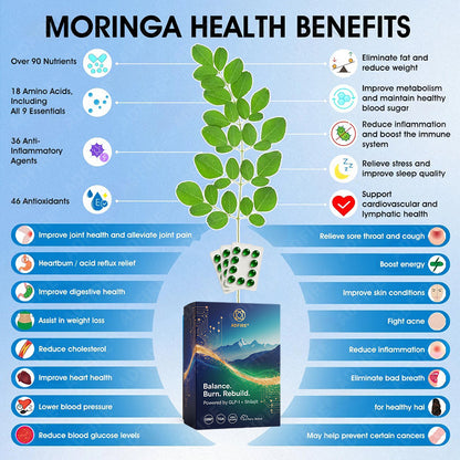 𝐀𝐝𝐟𝐢𝐫𝐞® 𝐆𝐋𝐏-𝟏 + 𝐒𝐡𝐢𝐥𝐚𝐣𝐢𝐭 𝐃𝐮𝐚𝐥-𝐂𝐨𝐫𝐞 𝐌𝐞𝐭𝐚𝐛𝐨𝐥𝐢𝐜 & 𝐑𝐞𝐬𝐭𝐨𝐫𝐚𝐭𝐢𝐨𝐧 𝐔𝐥𝐭𝐫𝐚-𝐂𝐨𝐧𝐜𝐞𝐧𝐭𝐫𝐚𝐭𝐞𝐝 𝐄𝐬𝐬𝐞𝐧𝐜𝐞 𝐁𝐞𝐚𝐝𝐬 — 𝐒𝐜𝐢𝐞𝐧𝐭𝐢𝐟𝐢𝐜 𝐅𝐚𝐭 𝐁𝐮𝐫𝐧 × 𝐇𝐞𝐫𝐛𝐚𝐥 𝐑𝐞𝐣𝐮𝐯𝐞𝐧𝐚𝐭𝐢𝐨𝐧, 𝐅𝐮𝐥𝐥𝐲 𝐀𝐜𝐭𝐢𝐯𝐚𝐭𝐢𝐧𝐠 𝐭𝐡𝐞 𝐁𝐨𝐝𝐲’𝐬 𝐌𝐞𝐭𝐚𝐛𝐨𝐥𝐢𝐜 𝐒𝐲𝐬𝐭𝐞𝐦 (✅ 𝐁𝐥𝐨𝐨𝐝 𝐒𝐮𝐠𝐚𝐫 𝐂𝐨𝐧𝐭𝐫𝐨𝐥, 𝐅𝐚𝐭 𝐋𝐨𝐬𝐬, 𝐇𝐞𝐚𝐫𝐭 𝐇𝐞𝐚𝐥𝐭𝐡, 𝐀𝐧𝐭𝐢-𝐀𝐠𝐢𝐧𝐠)