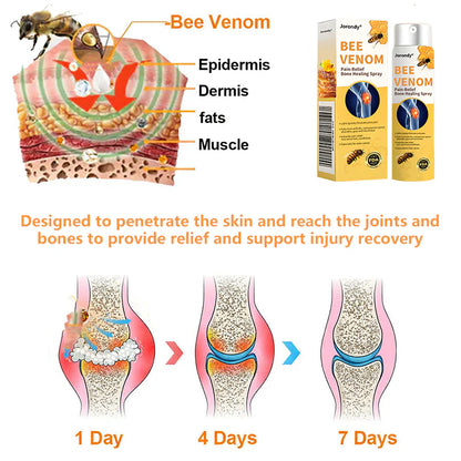 Jorondy® Bee Venom Pain-Relief Bone Healing Spray🐝🐝🐝🐝(Specially for older adults & AAOS recommends)